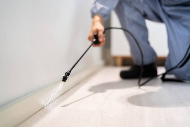 Professional exterminator conducting IPM assessment in Gervais