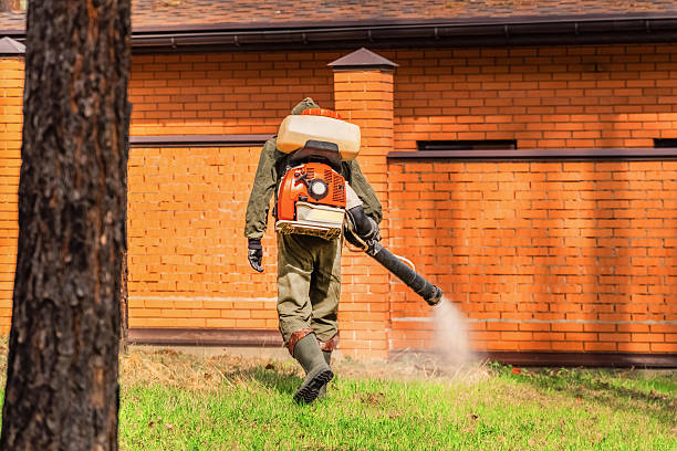 Top rated local Mosquito Control specialists in Gervais, OR